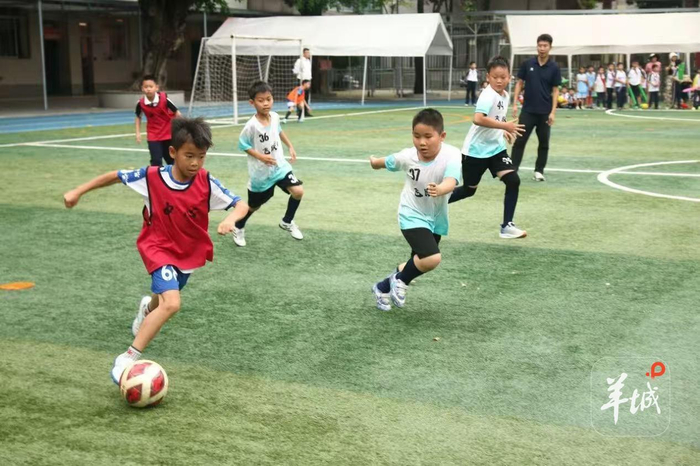 体育育人新模式！东莞莞城中心小学打造低学段全员足球“班超”样板